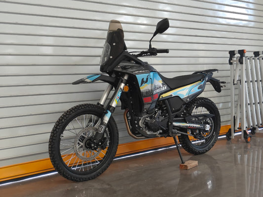 S3-FE300